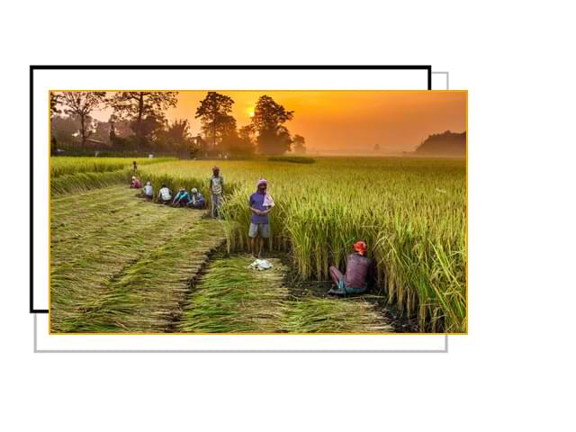 Agriculture and cooperation